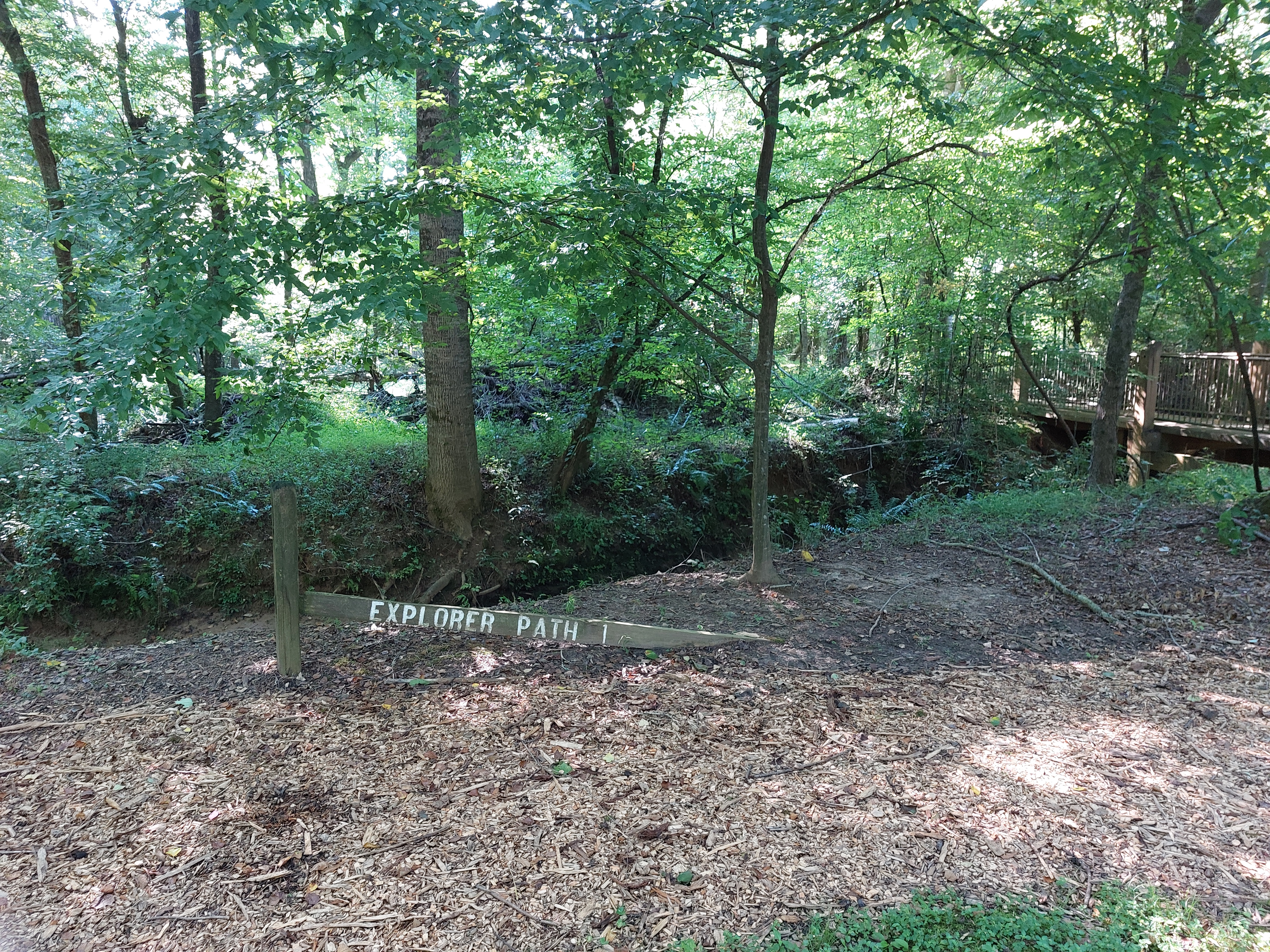 The start of the trail