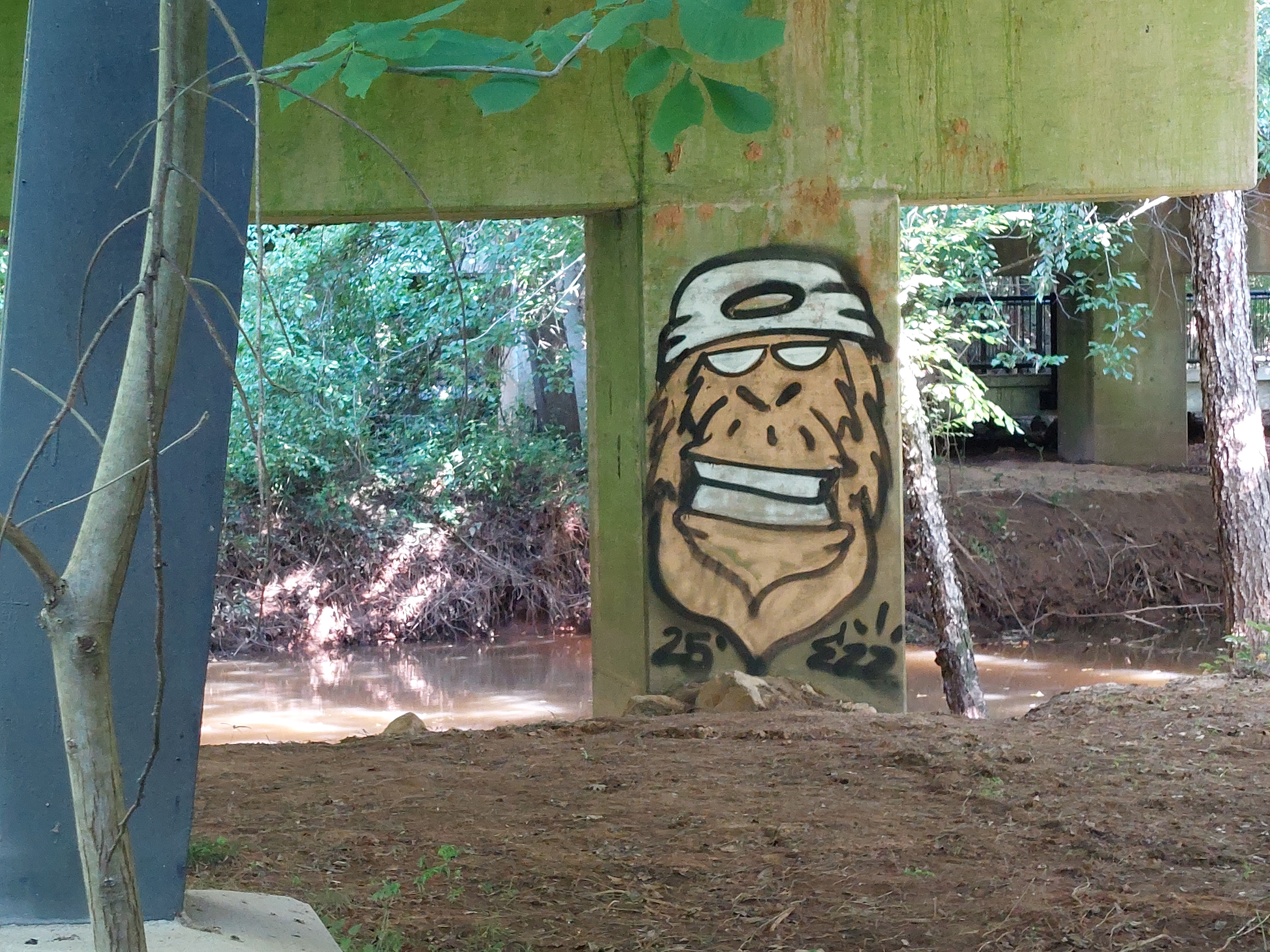 Some graffiti on a bridge pillar