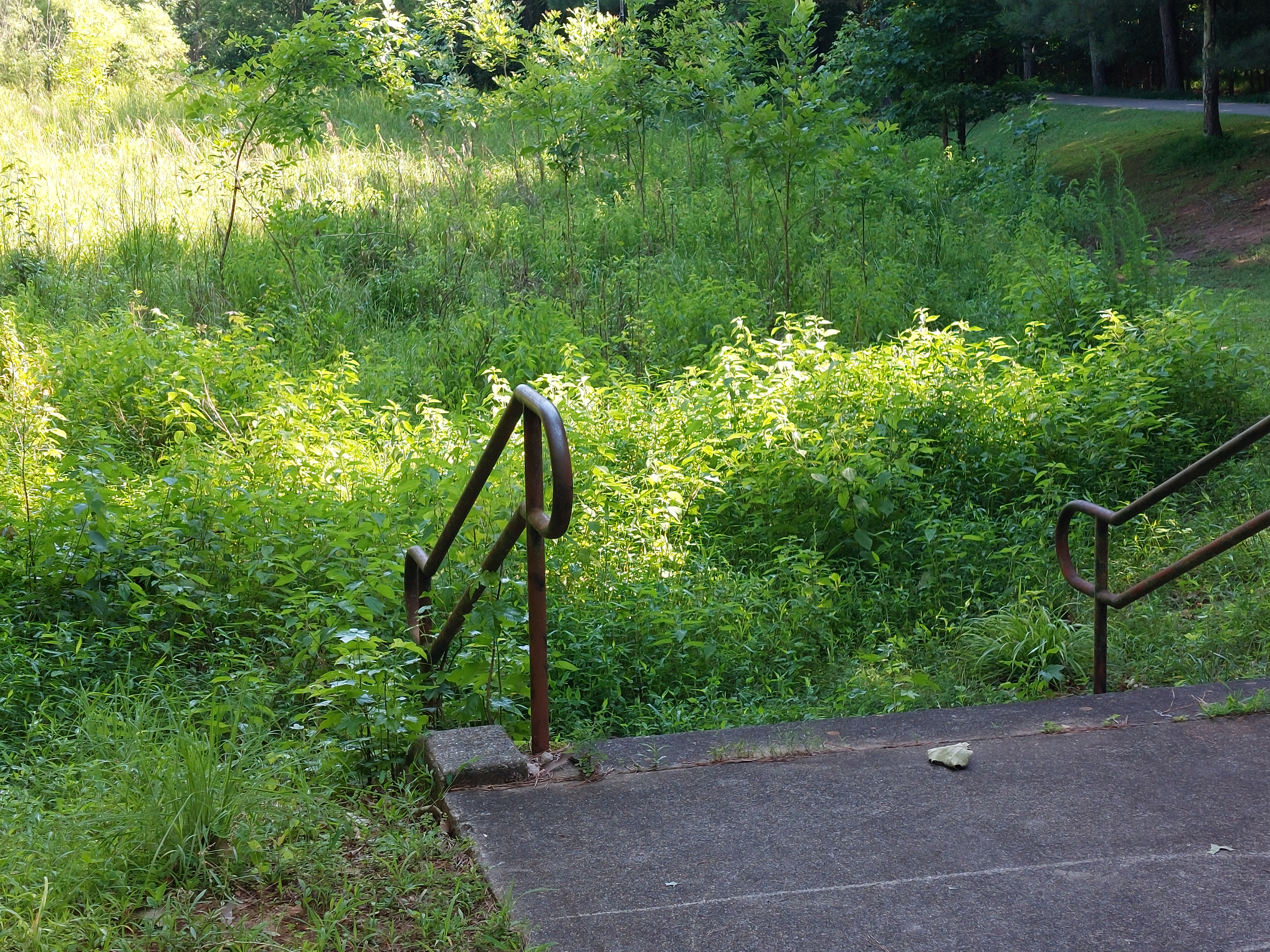 Stairs leading down to a basin