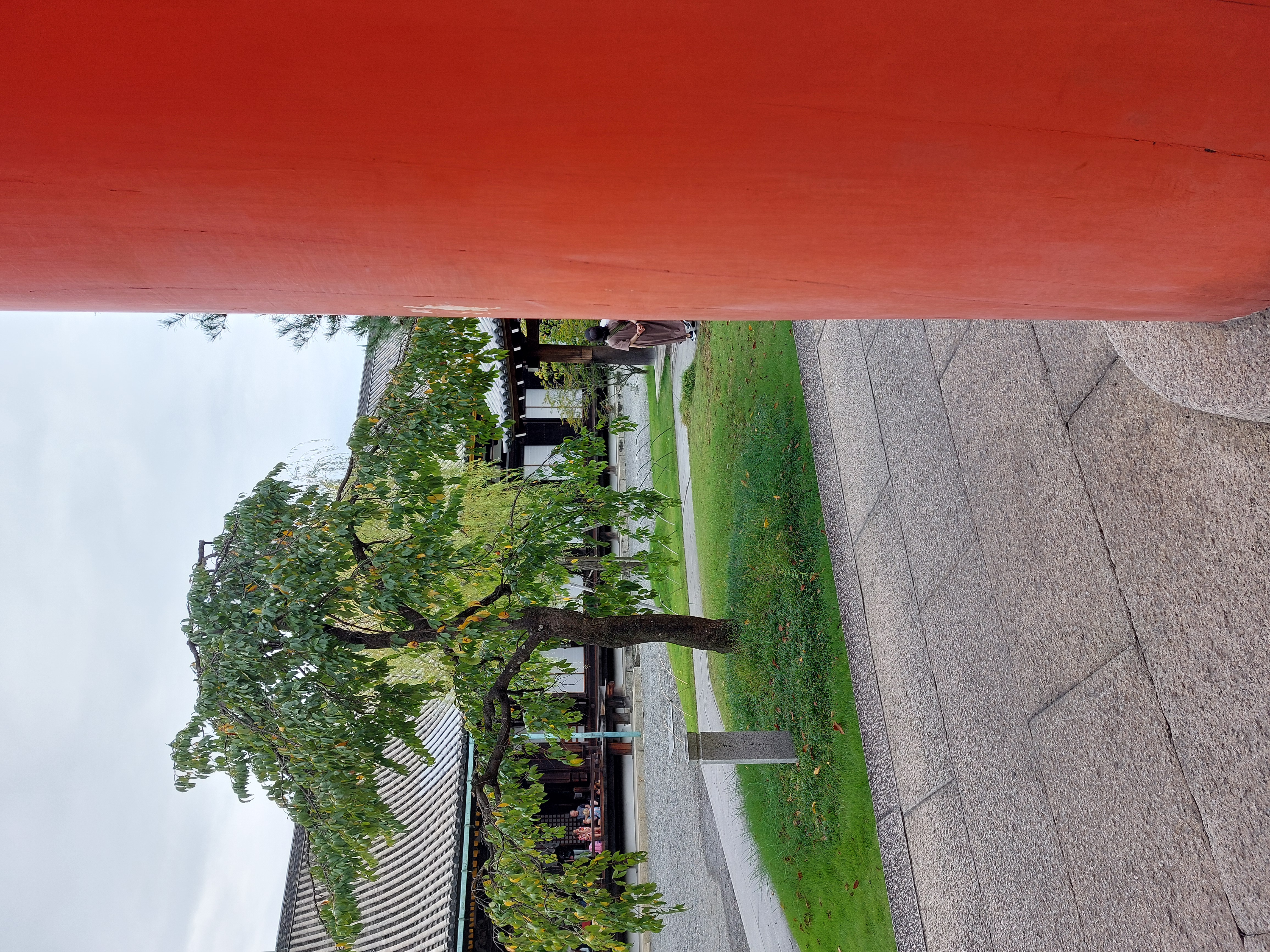 三十三間堂の庭