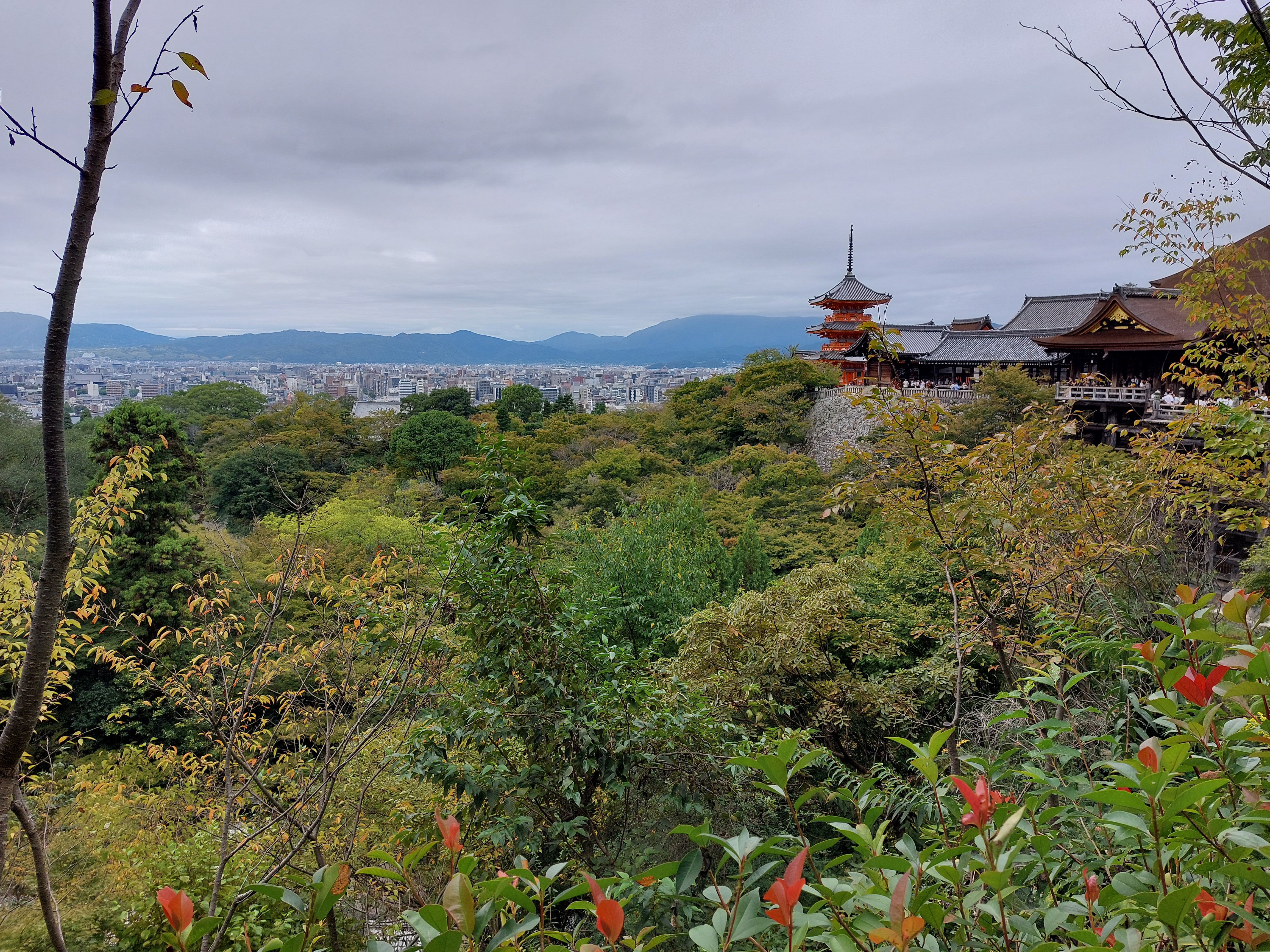 清水寺の塔遠いから眺め