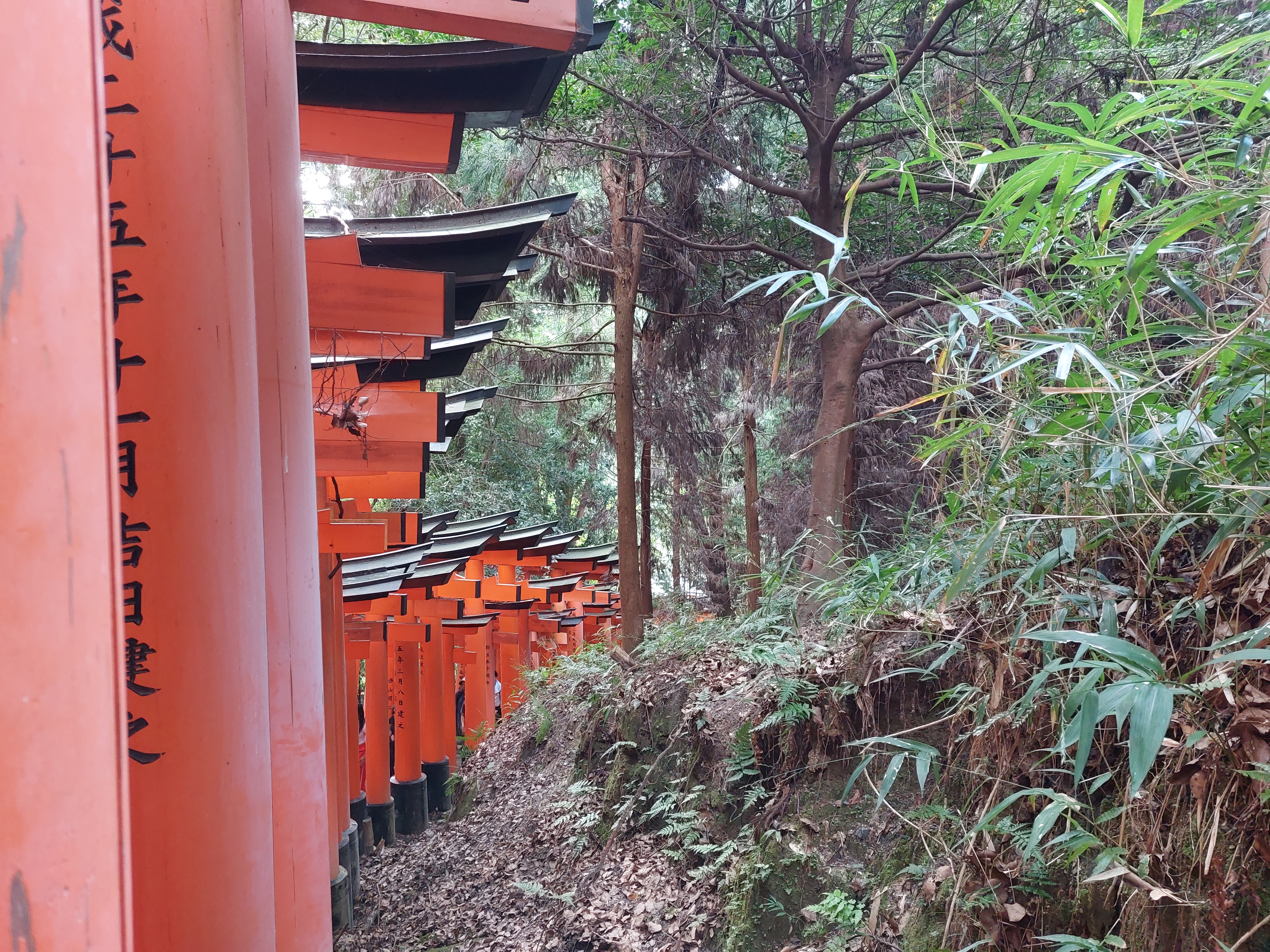 伏見稲荷大社の鳥居