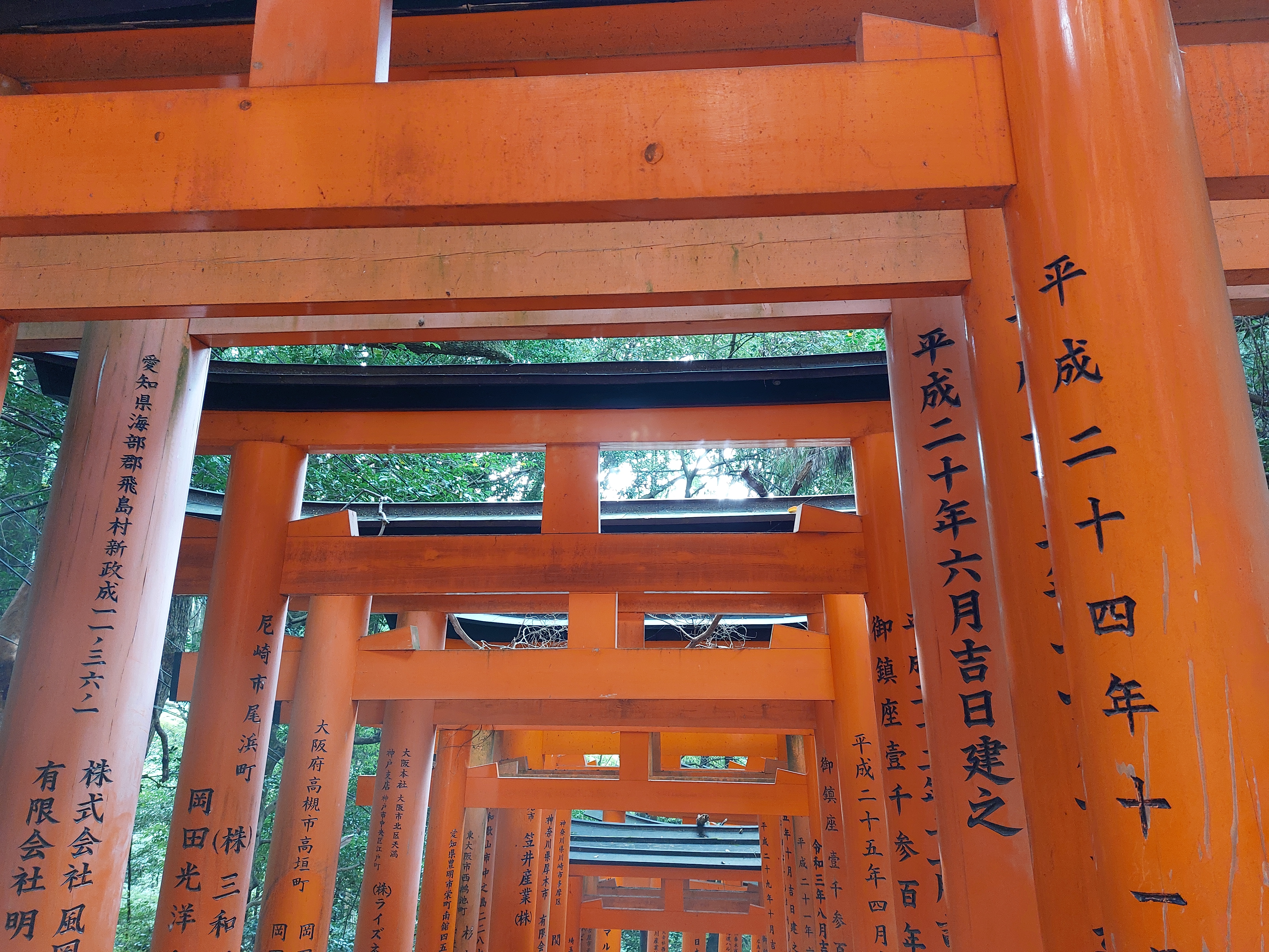 伏見稲荷大社の鳥居