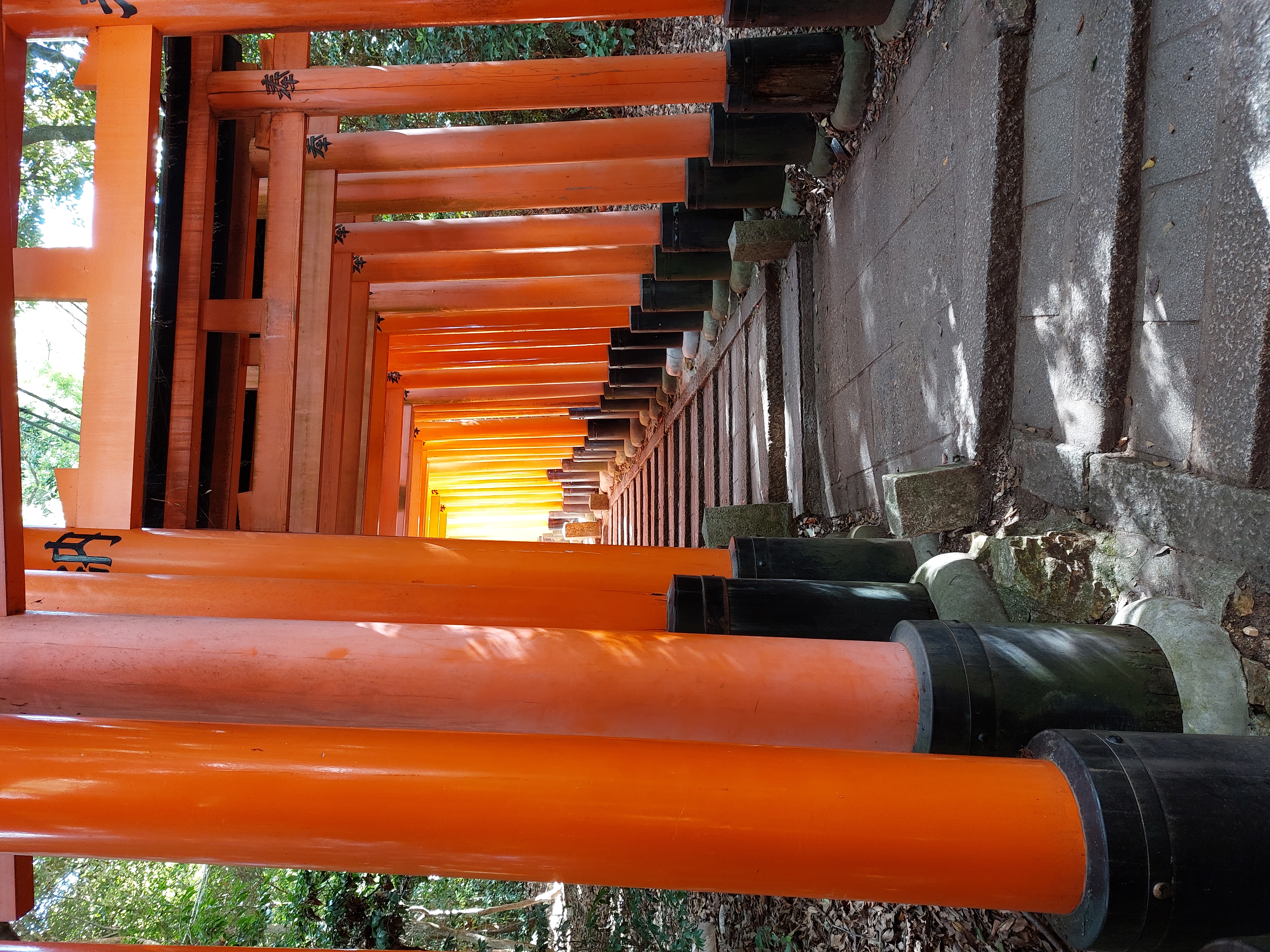 伏見稲荷大社の鳥居