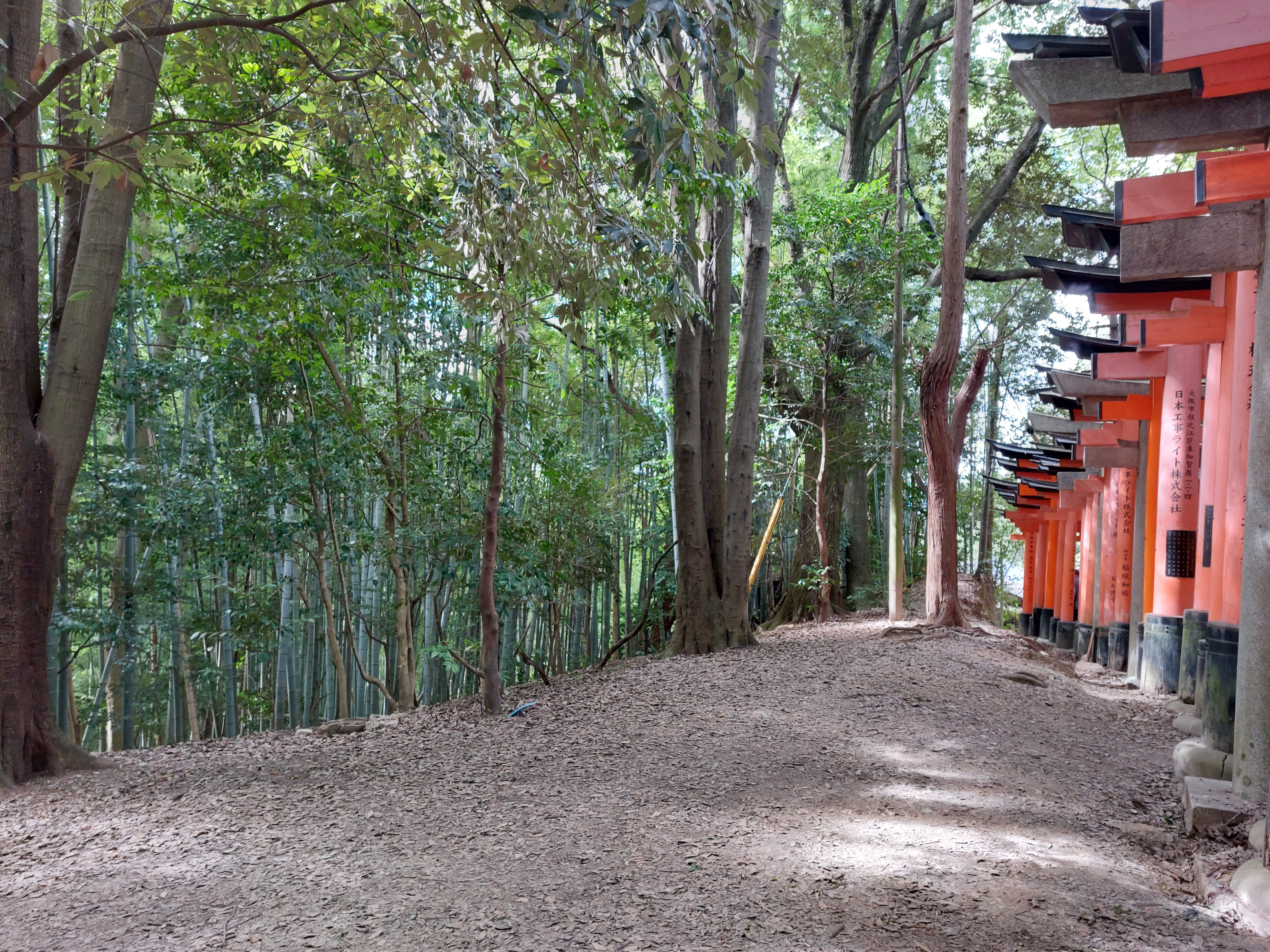 竹と鳥居