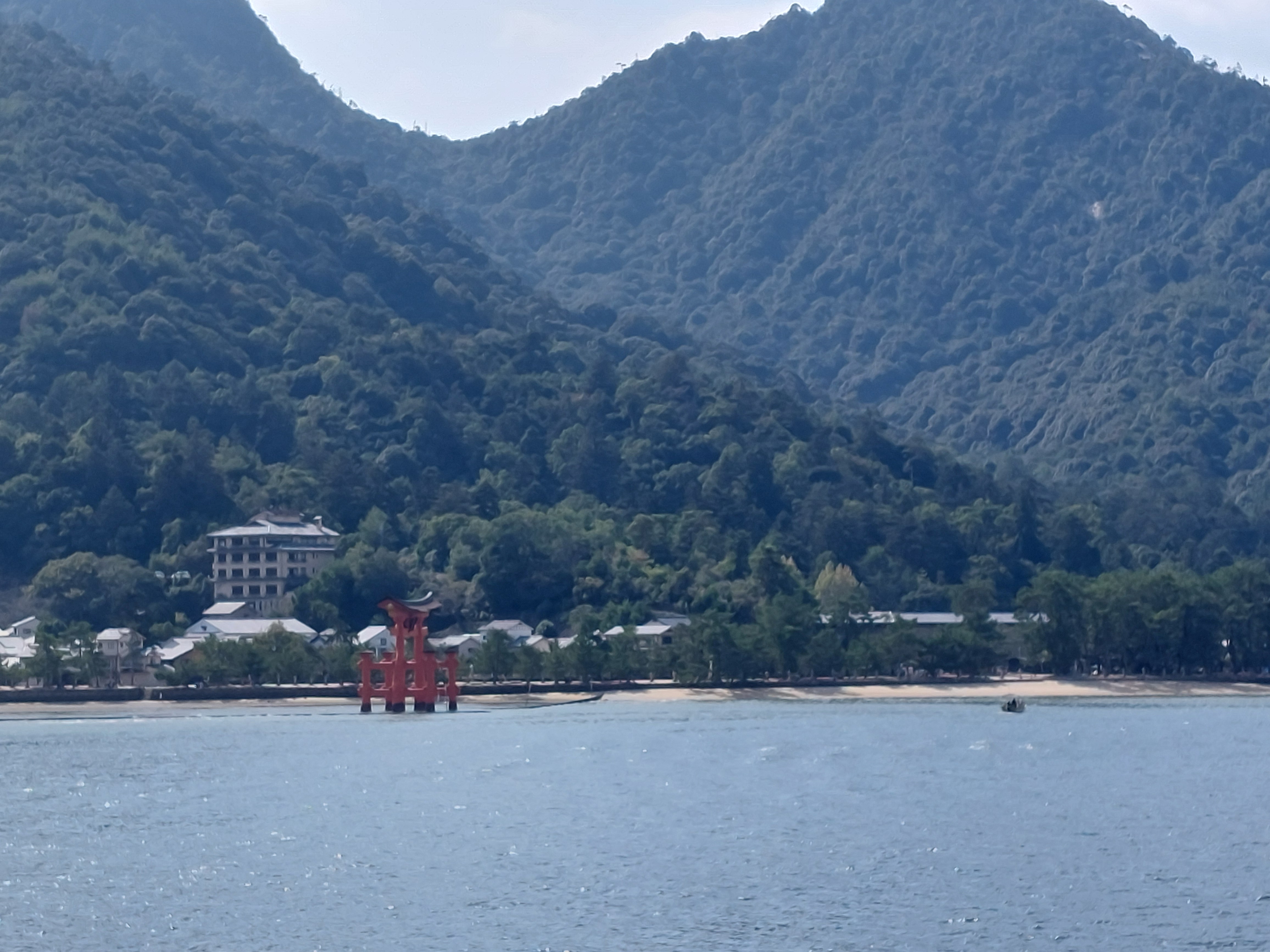 厳島神社大鳥居