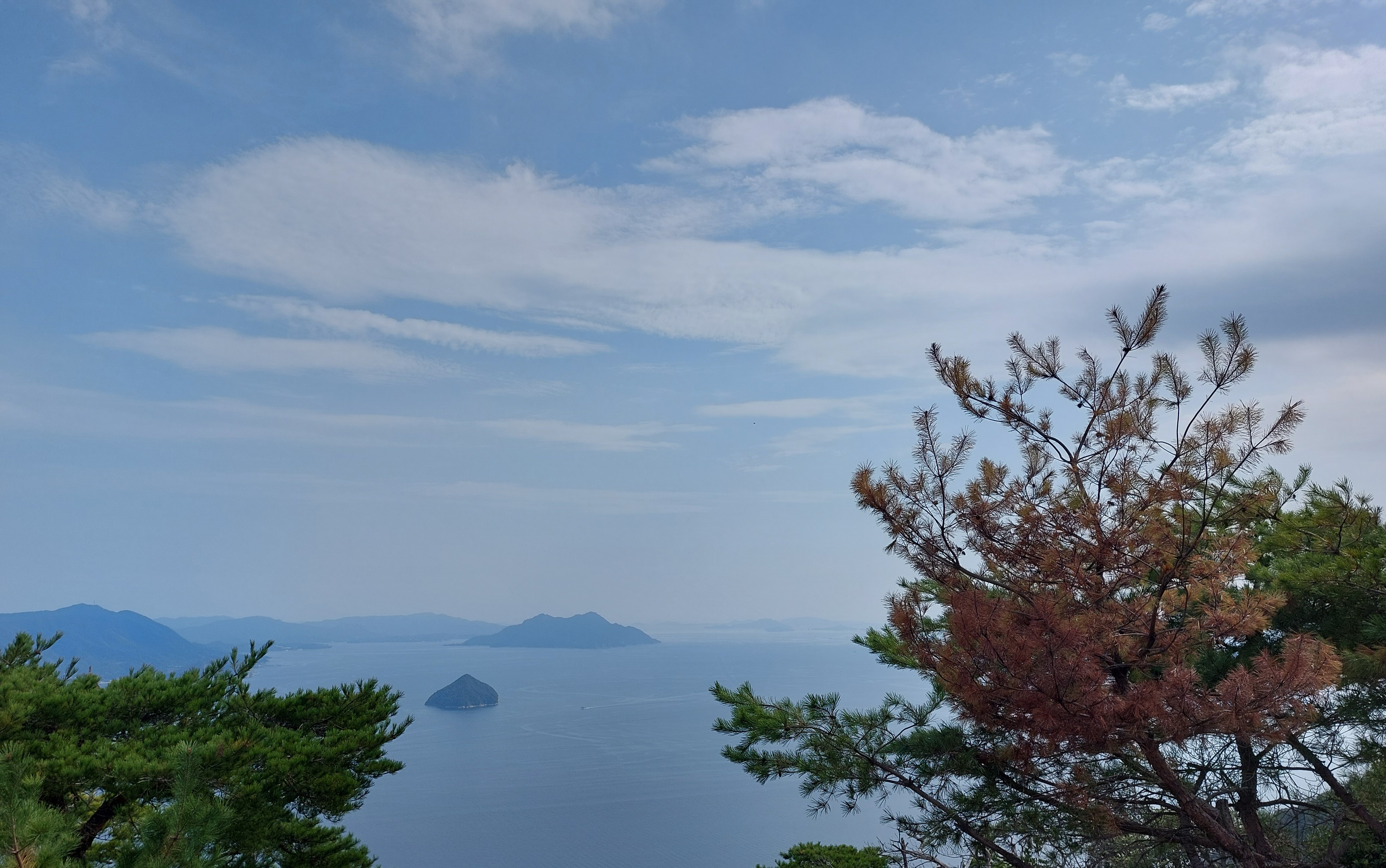獅子岩展望台からの眺め