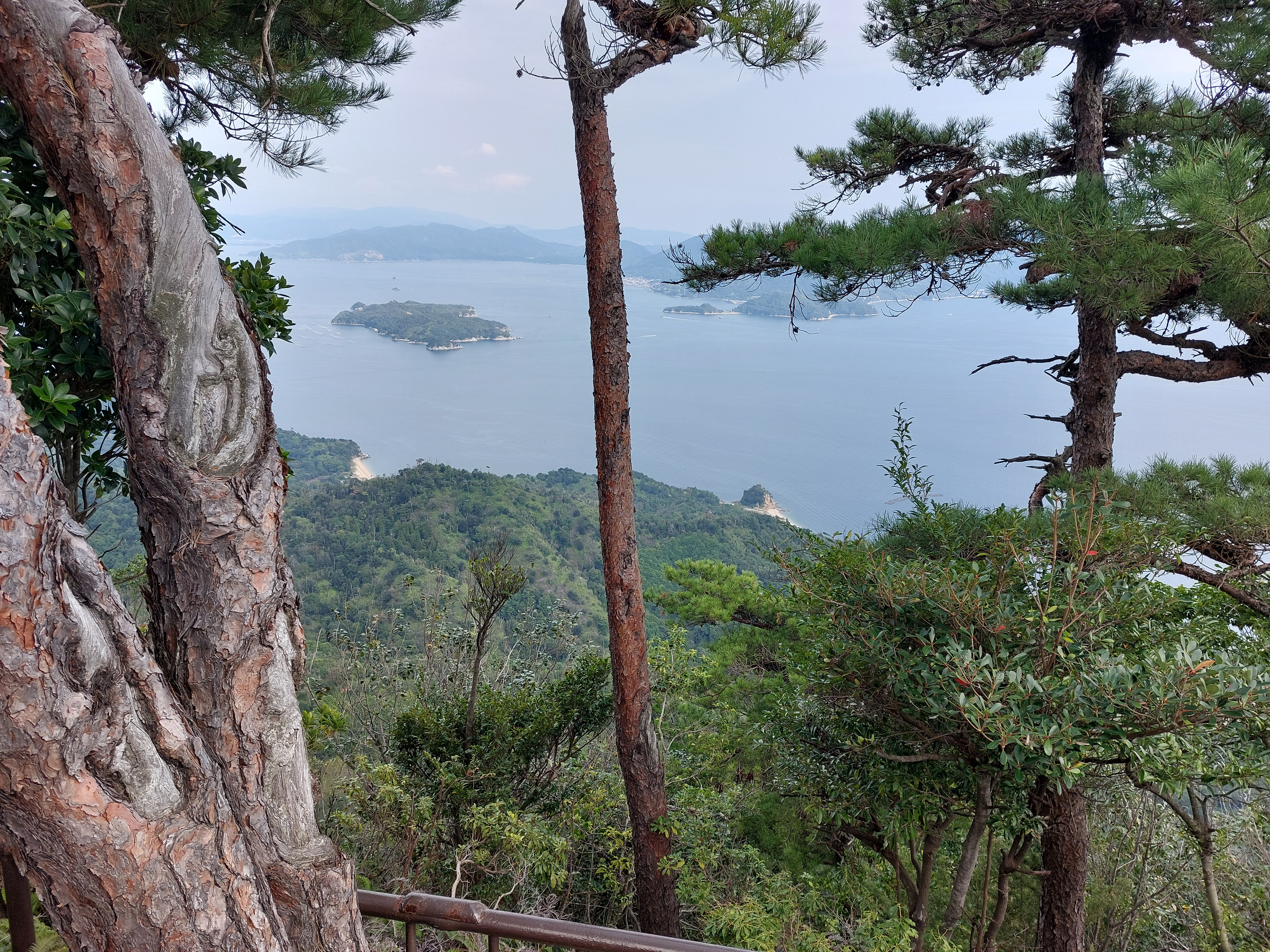 獅子岩展望台からの眺め
