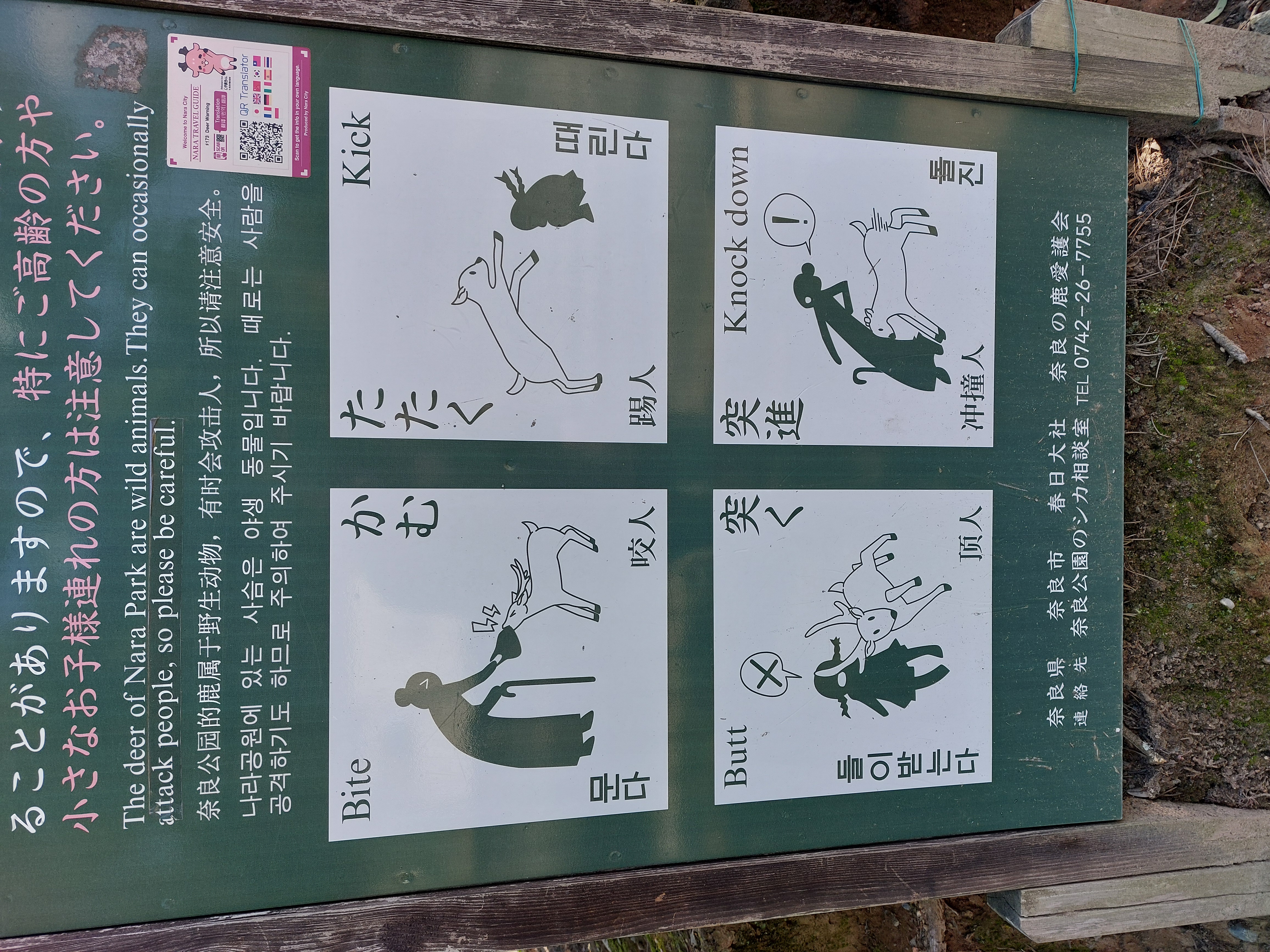 奈良公園の警告