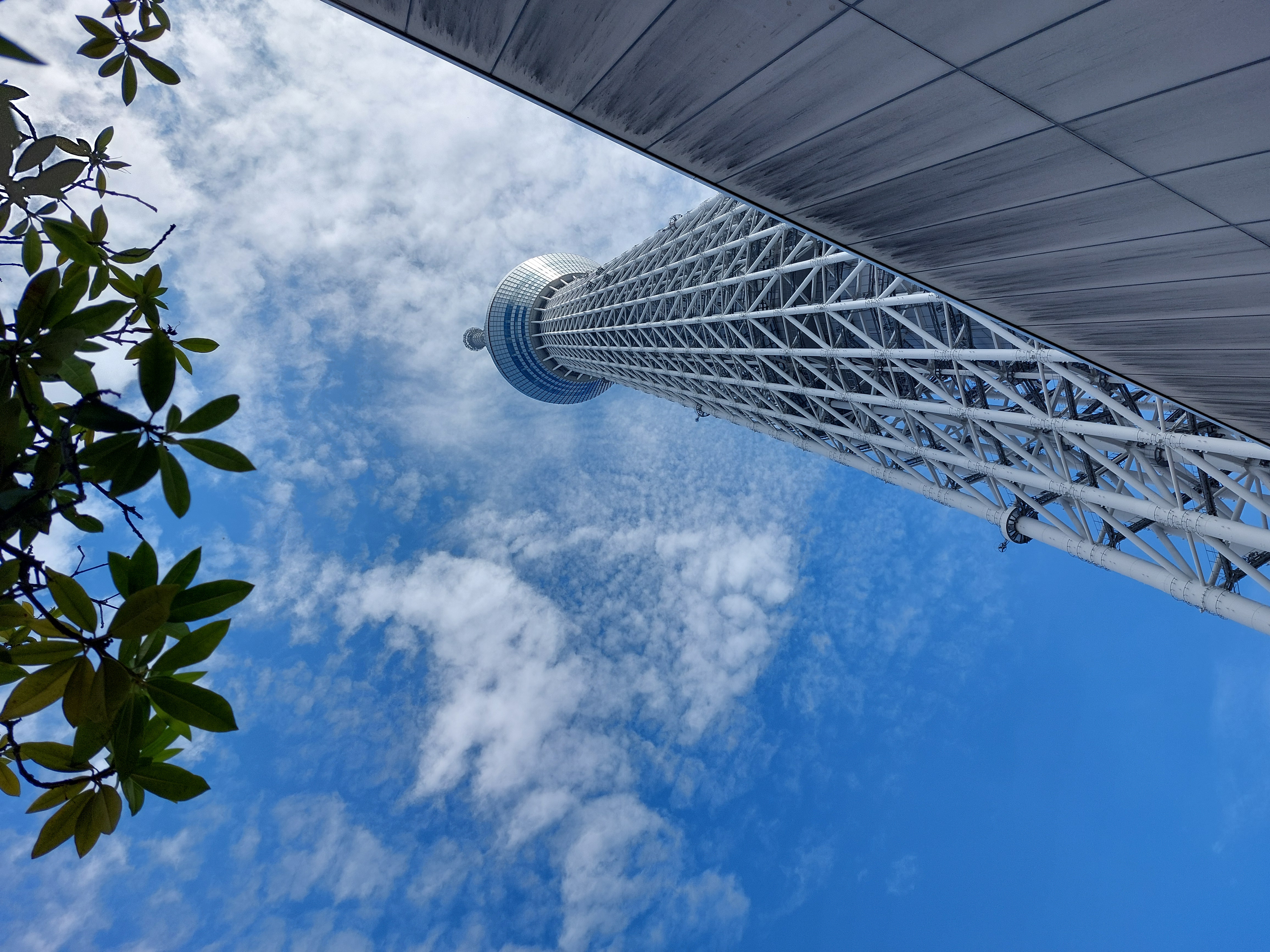 東京スカイツリーの下