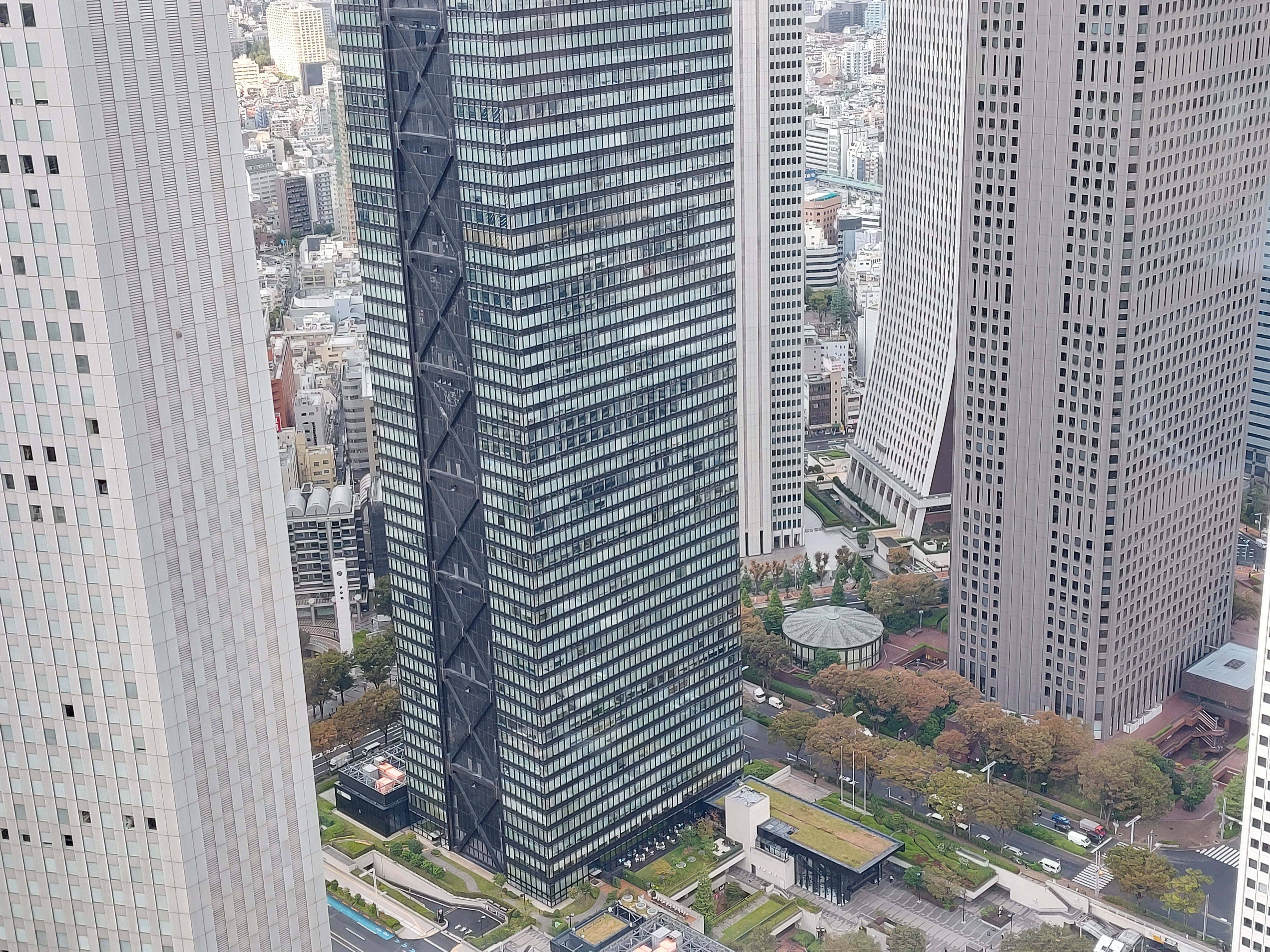 東京都庁舎から眺め