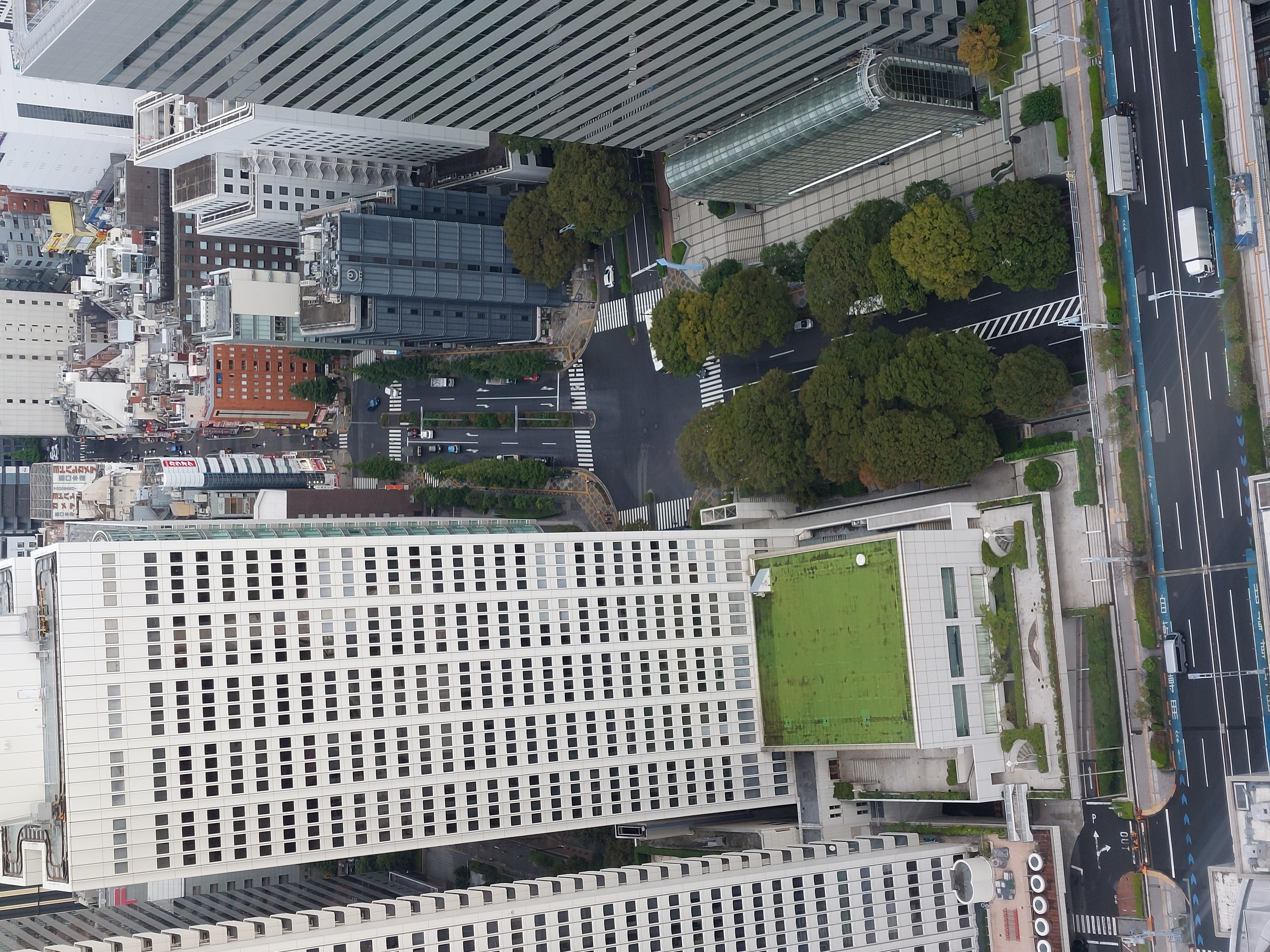 東京都庁舎から眺め