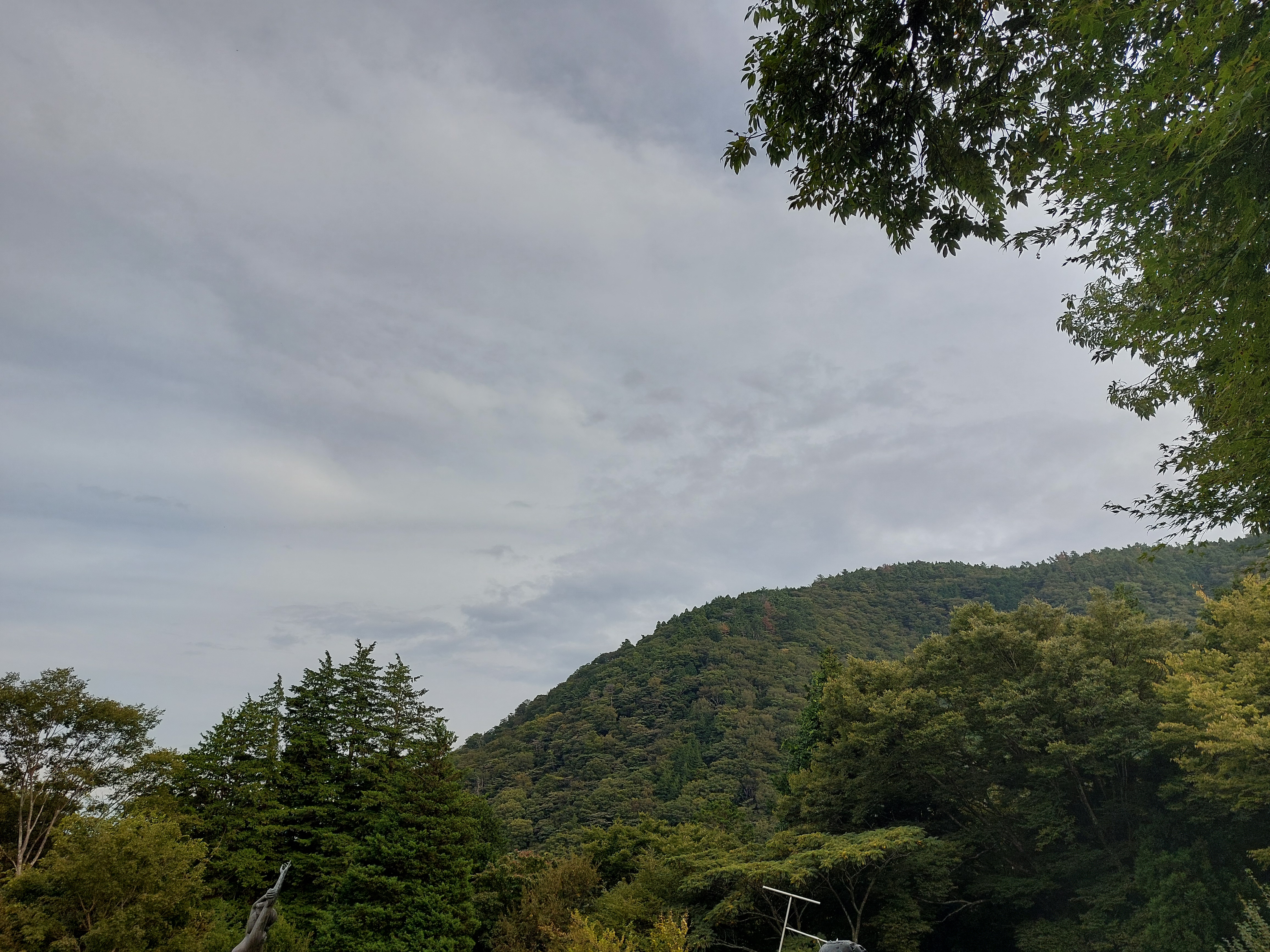 箱根彫刻の森美術館の周囲