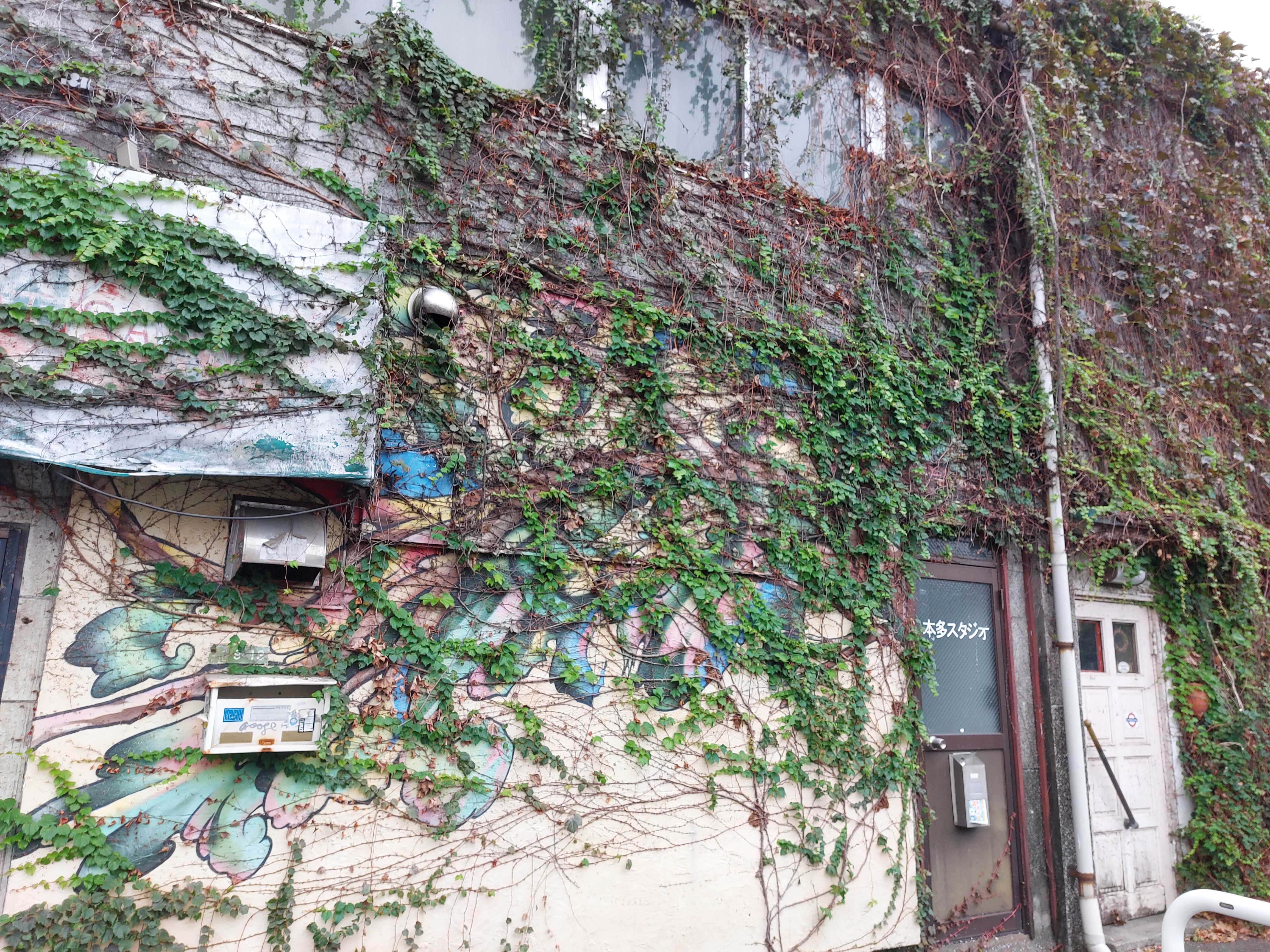 下北沢の木の壁画